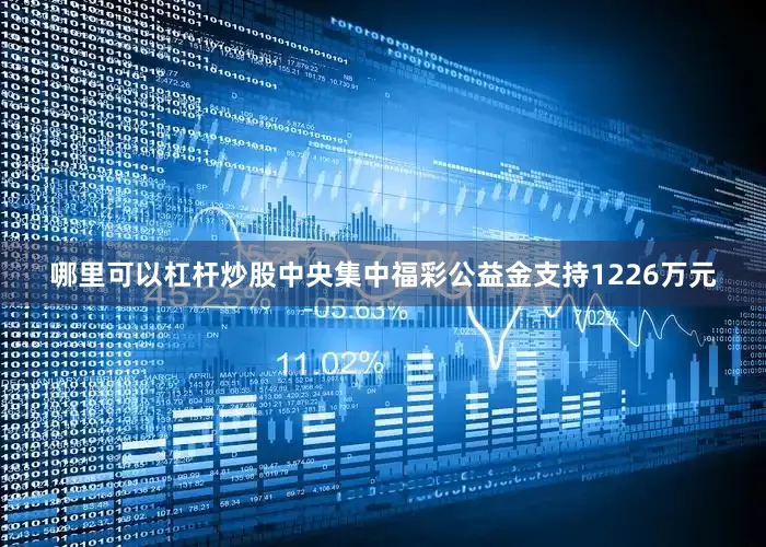 哪里可以杠杆炒股中央集中福彩公益金支持1226万元