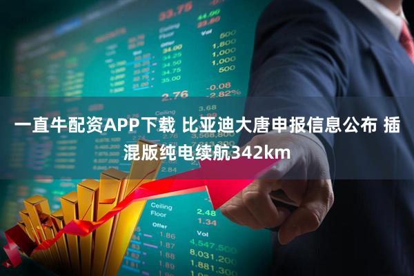 一直牛配资APP下载 比亚迪大唐申报信息公布 插混版纯电续航342km