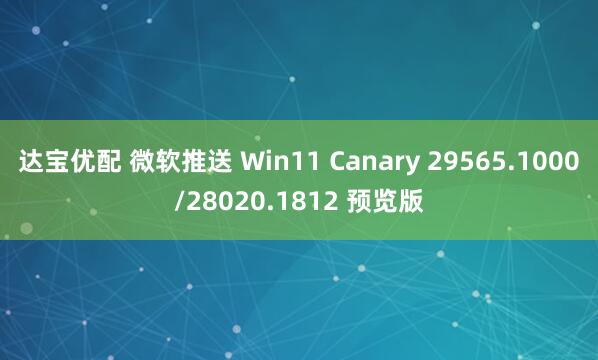 达宝优配 微软推送 Win11 Canary 29565.1000/28020.1812 预览版